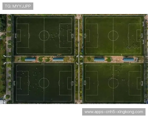 青训—高校合作项目扩大招生与训练规模 青训—高校合作项目扩大招生与训练规模