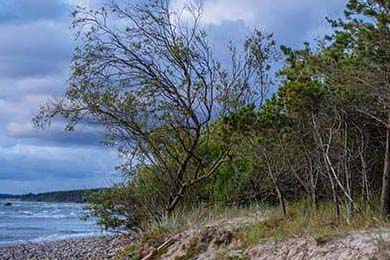 Aster教练团队战术调整显成效，atkinson教练